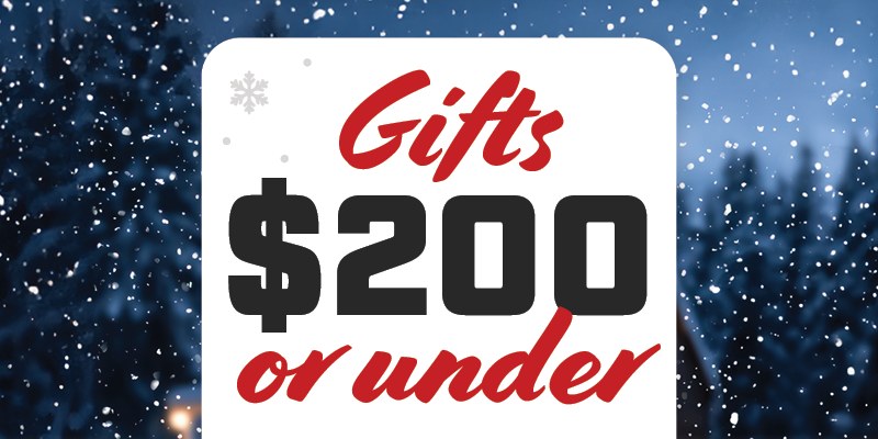 Special: 2024 Holiday Gift Guide - under $200